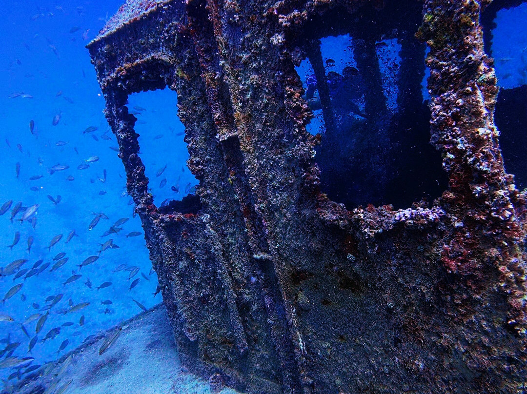 Aicádiving - Centro De Mergulho - Recife-累西腓必去景点