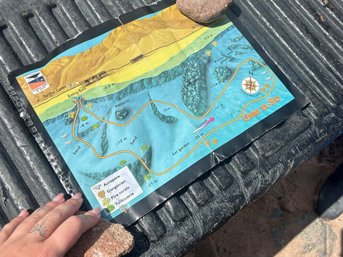 Penguin Divers Club-达哈卜必去景点