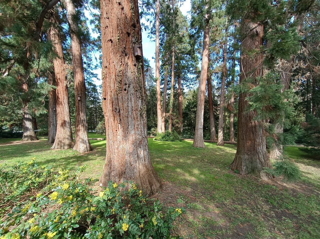 威廉玛动植物园-斯图加特必去景点