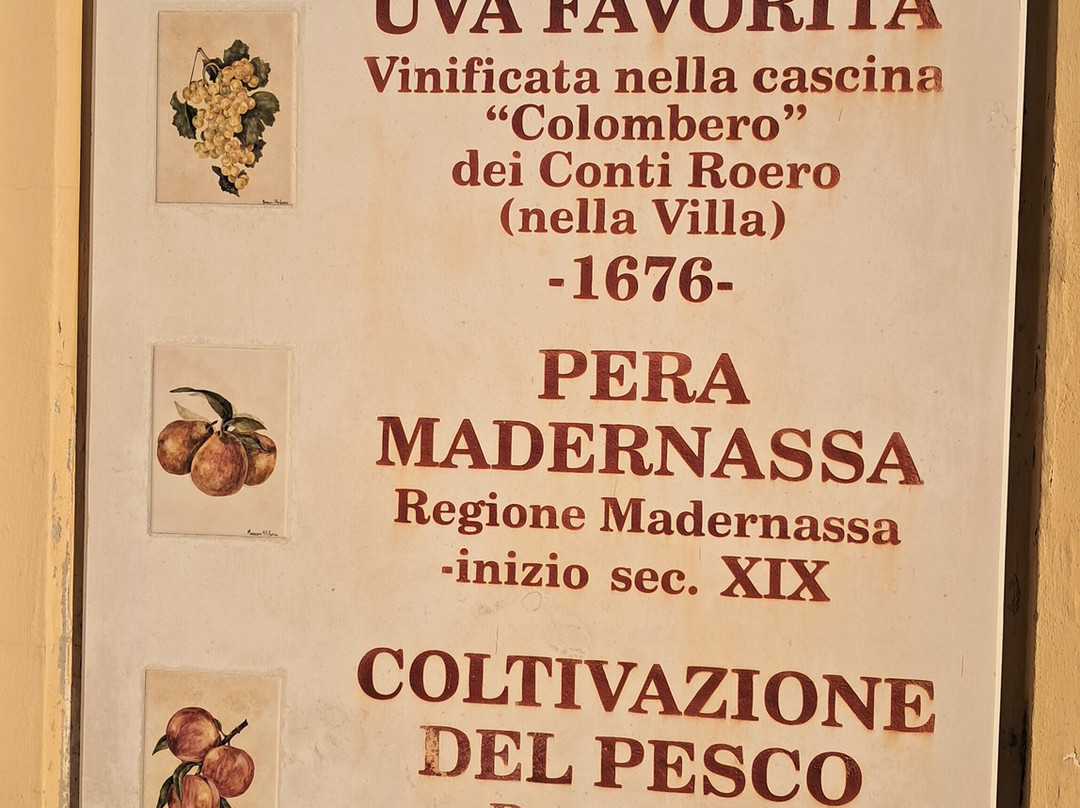 Slowdays-Corneliano d'Alba必去景点