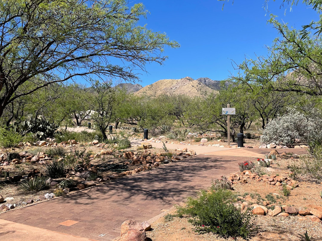 Kartchner Caverns State Park-Benson必去景点
