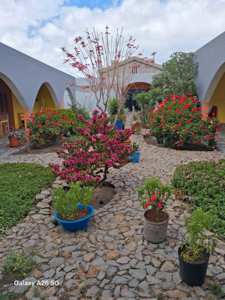 Casa Alcindo-官方