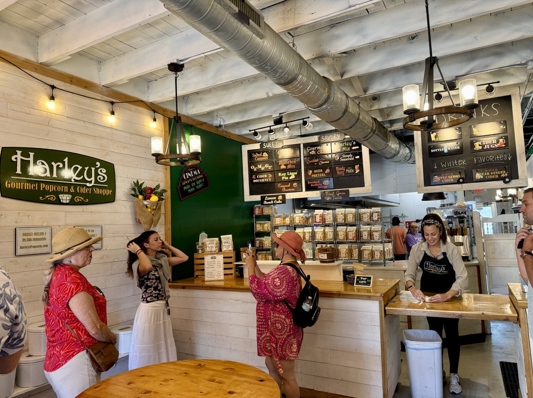 Tampa Bay Food Tours-坦帕必去景点