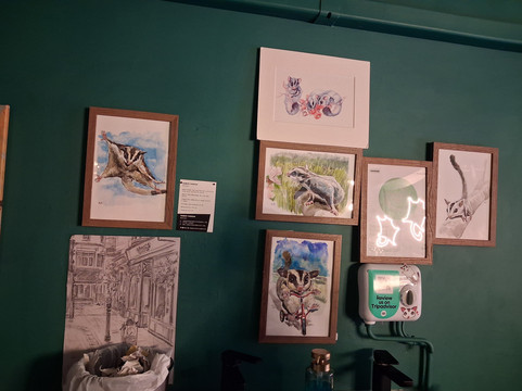 Cuddly Colony-布莱顿必去景点