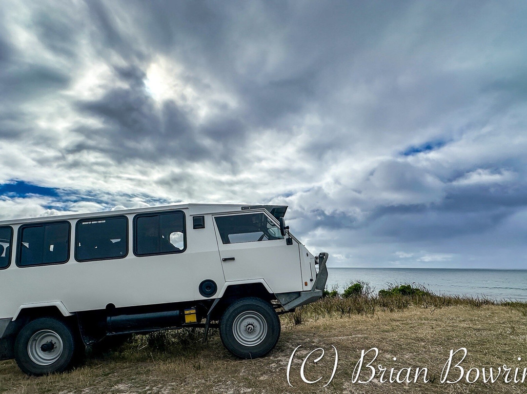 King Island Tours-King Island必去景点