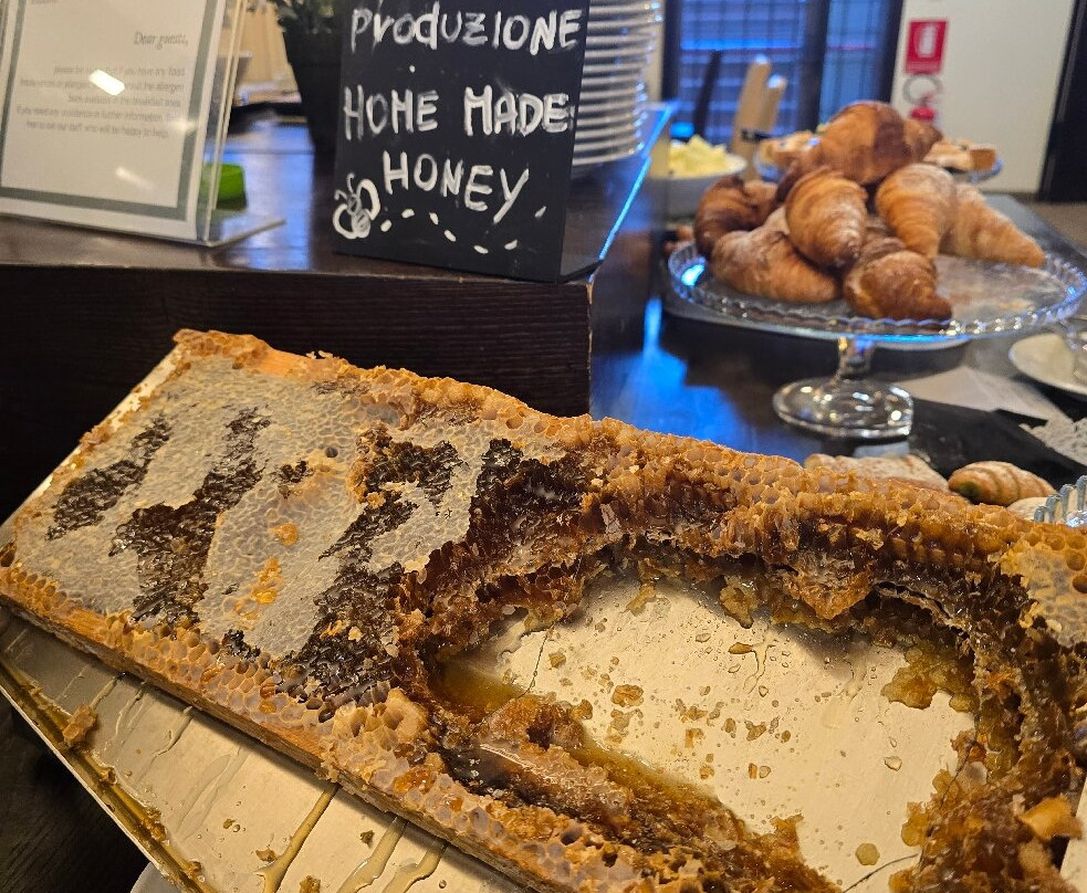 基安蒂公园酒店主图