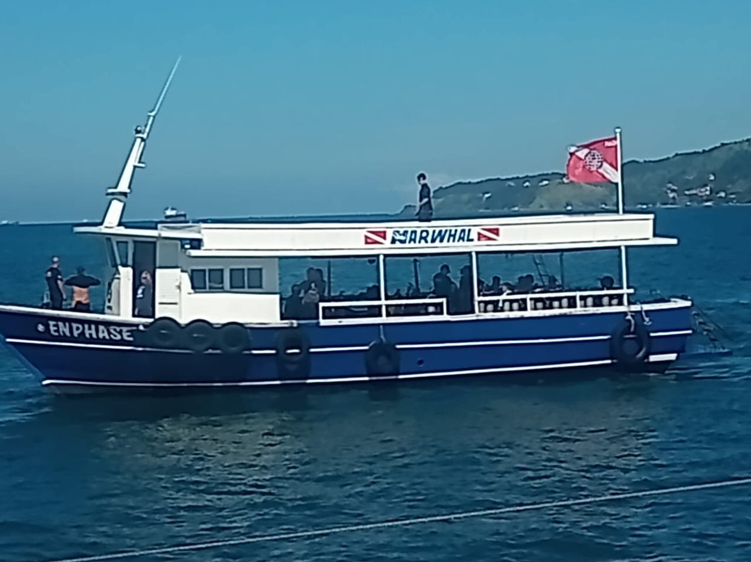 Narwhal-伊利亚贝拉必去景点