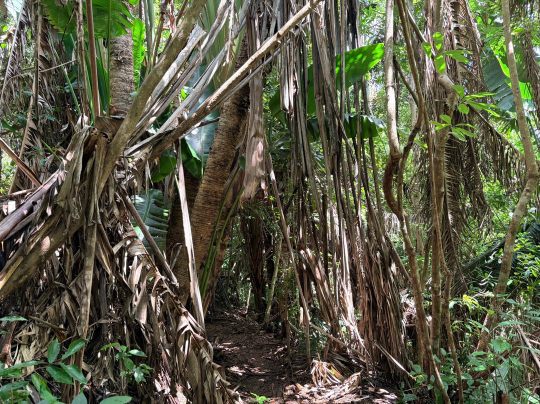 Madagascar Stunning Tour