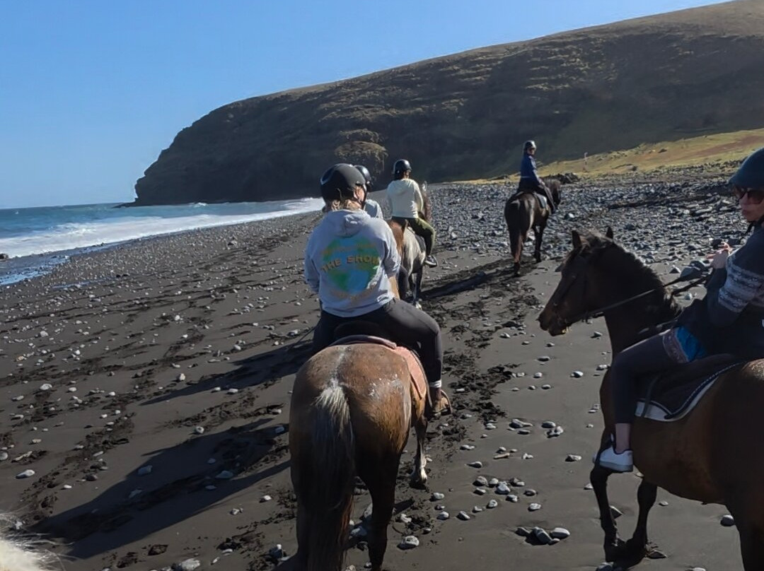 Lanzarote a Caballo-兰萨罗特必去景点