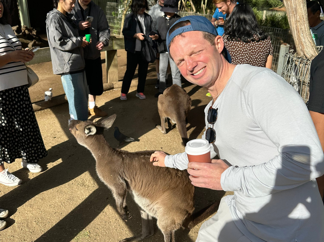 LuxCar-悉尼必去景点