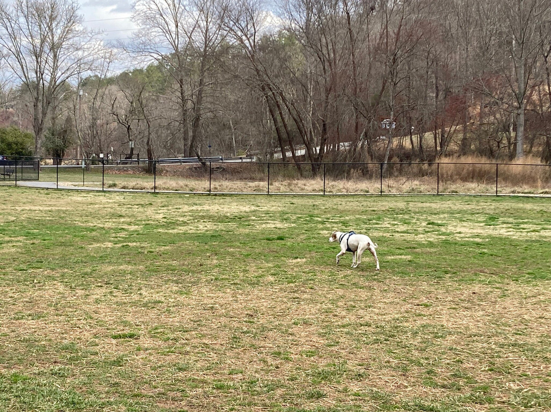 Ron Henry Horseshoe Bend Park
