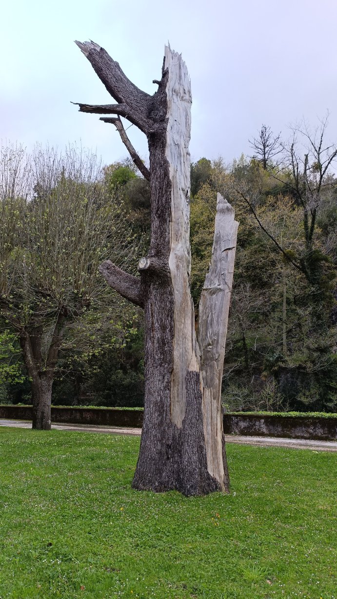 塞斯托纳Spa酒店-度假村/酒店