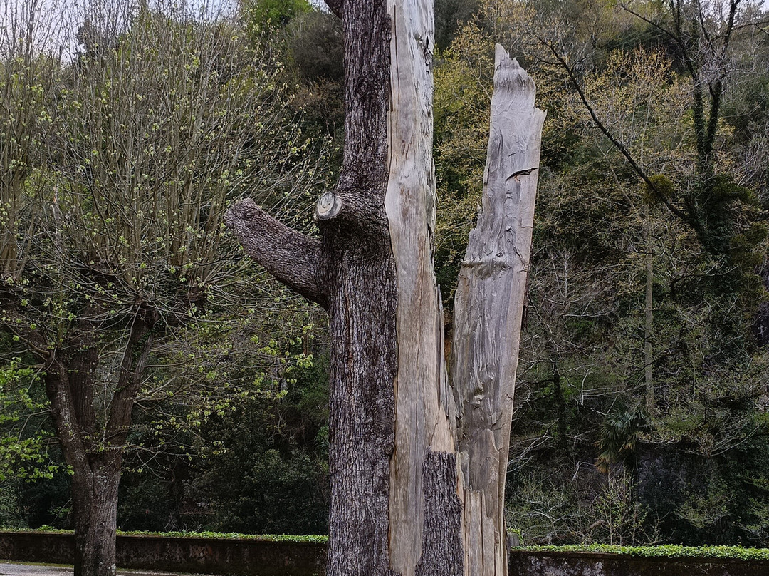 塞斯托纳Spa酒店主图