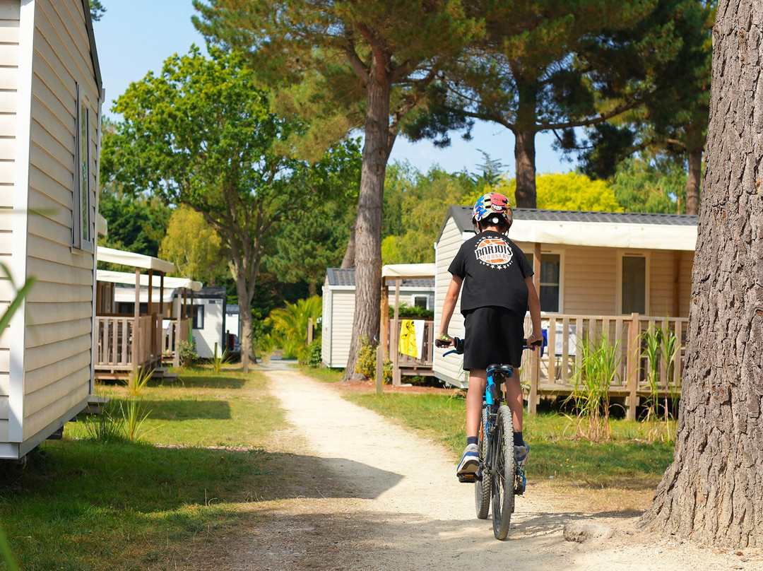 Flower Camping Le Vieux Moulin