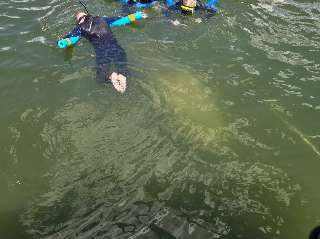 Family Adventure Charters-克里斯特尔里弗必去景点