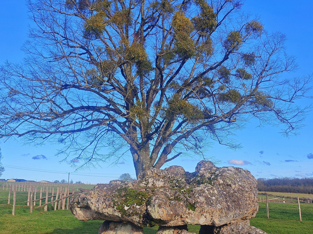 Dolmen de Maupertuis-La Chartre-sur-le-Loir必去景点