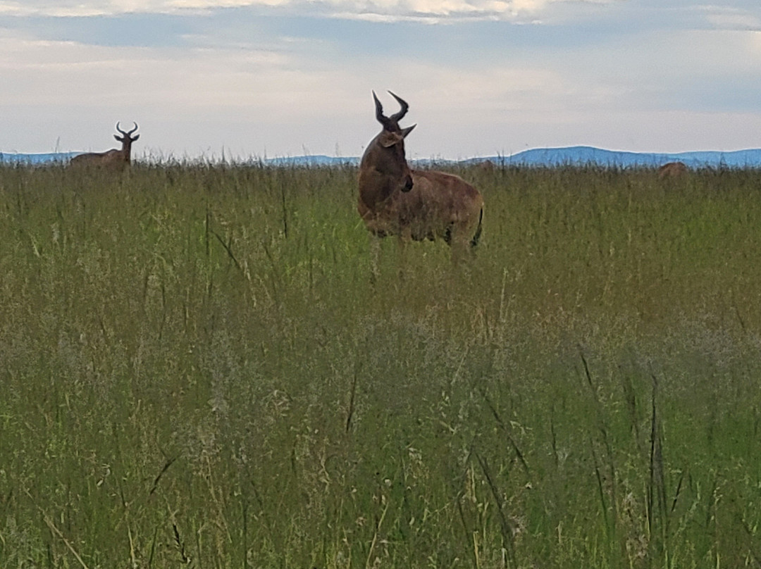 The Olmalaika Trust-Sekenani必去景点