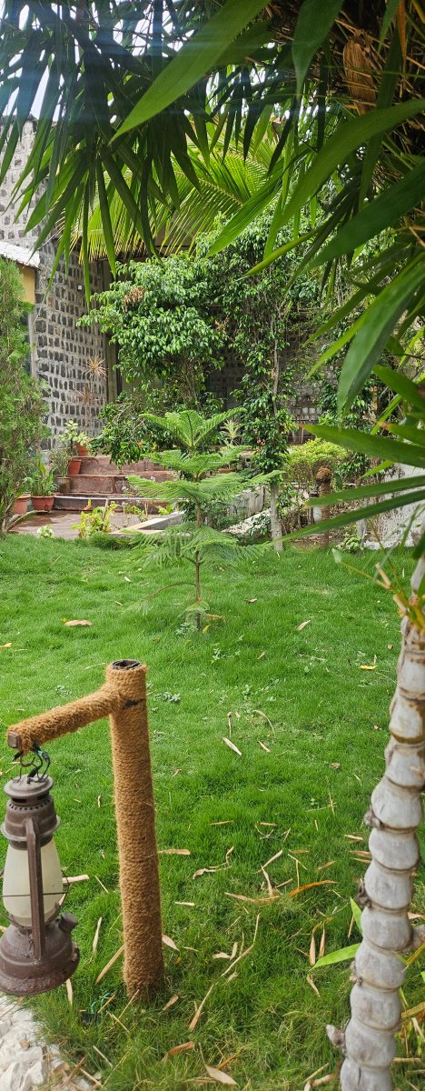 丛林遗迹迎宾度假村-官方