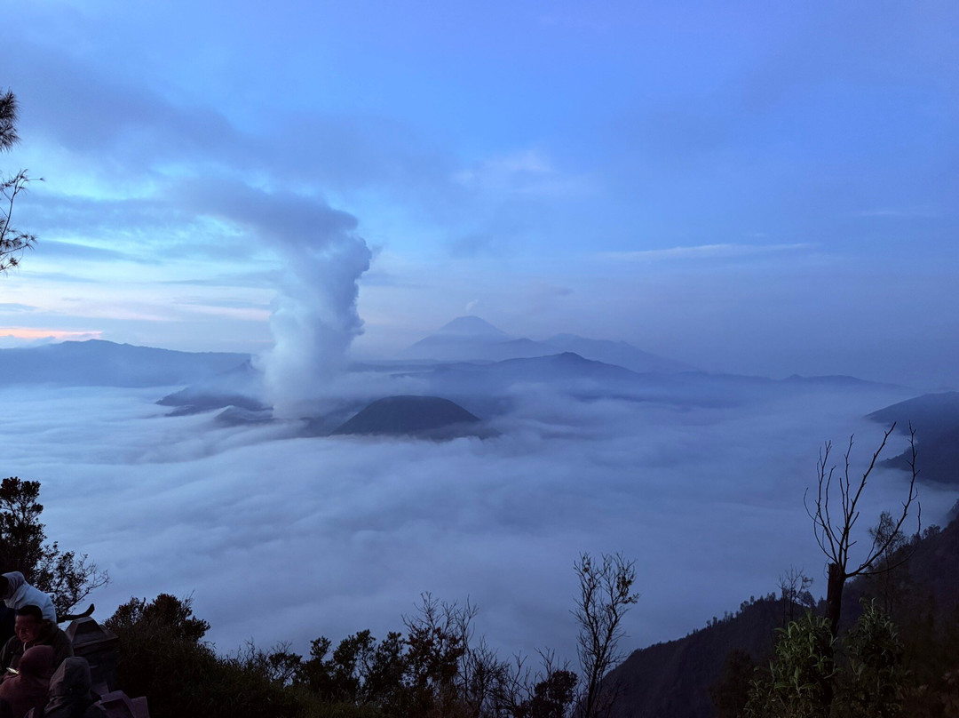 Ijen Blueflame Tour - Day Tours-巴纽旺宣必去景点