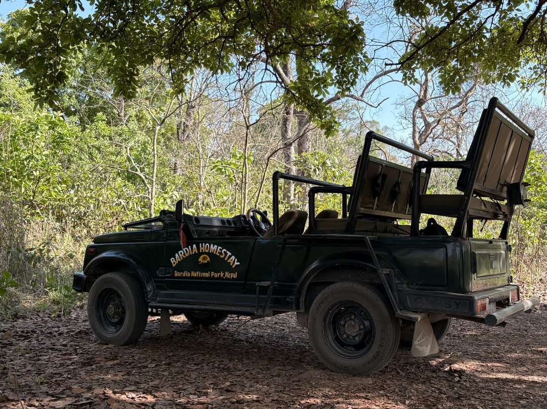 Bardia Homestay Pvt. Ltd.主图