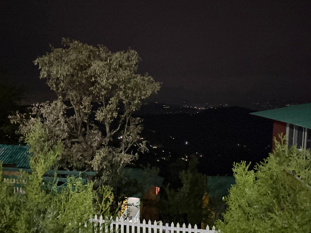 Nest and Hives主图