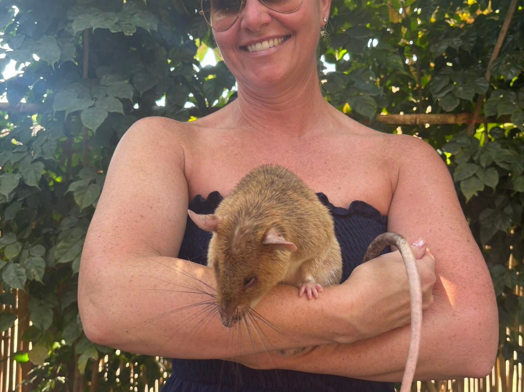 APOPO Visitor Center-暹粒必去景点