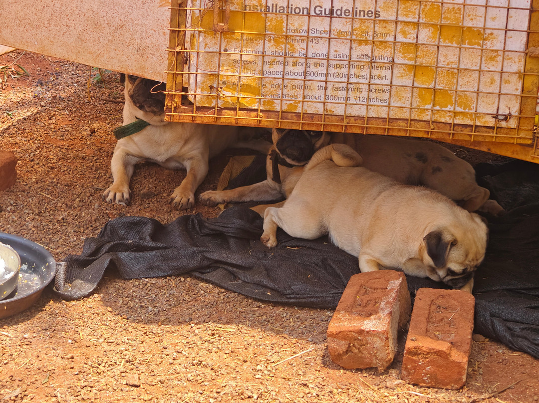 Cloud Forest Entertainment Park