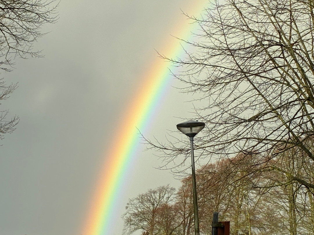 Elswout wandel-park van Staatsbosbeheer-Overveen必去景点