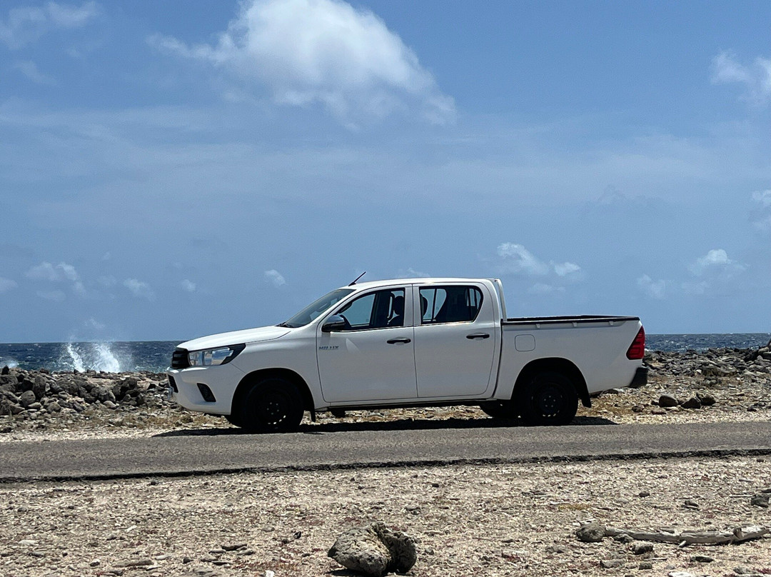 Pickup Huren Bonaire-Belnem必去景点