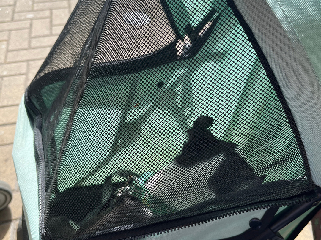 Tong Garden Centre-布拉德福必去景点