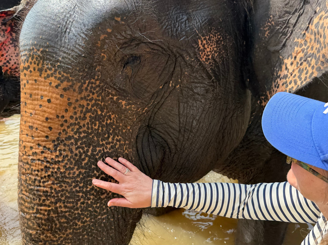 The Lake Phuket Elephant Home-Thep Krasatti必去景点