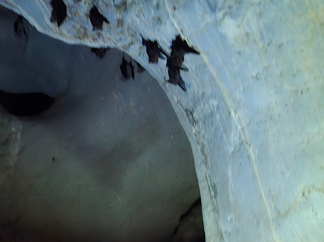 Irrawaddy Dolphins & Coastal Wonders Tour-贡布必去景点