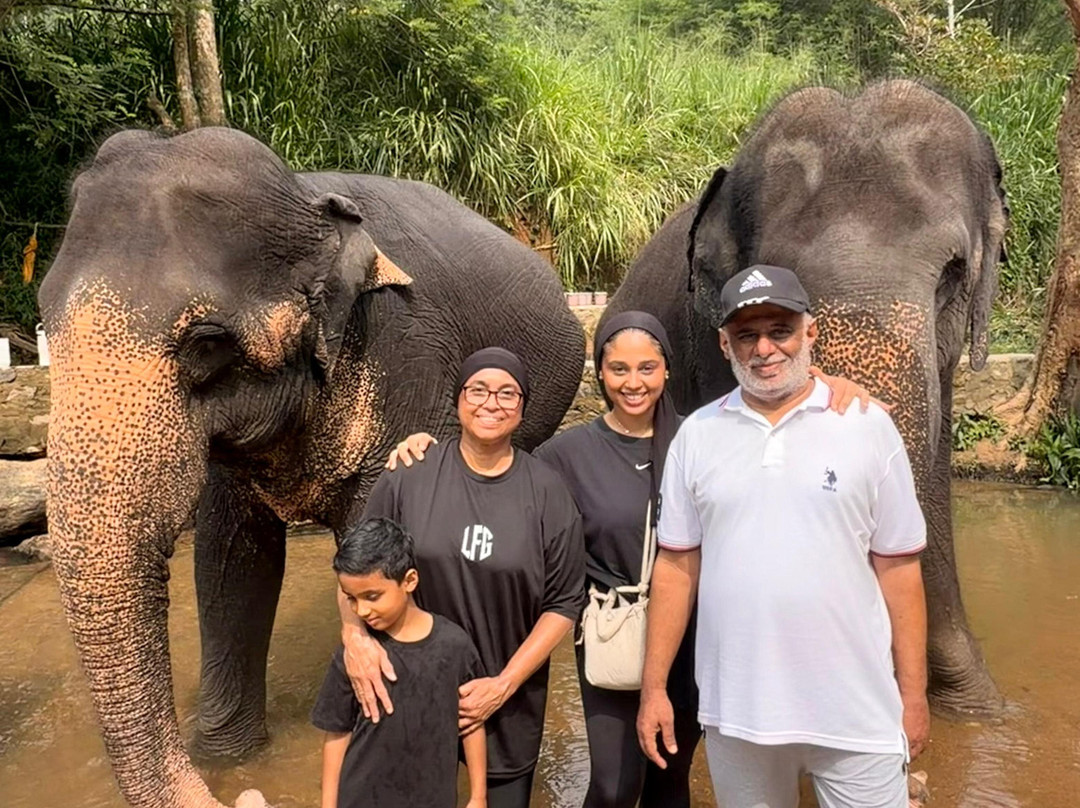 Elephant Freedom Project-凯格勒 必去景点