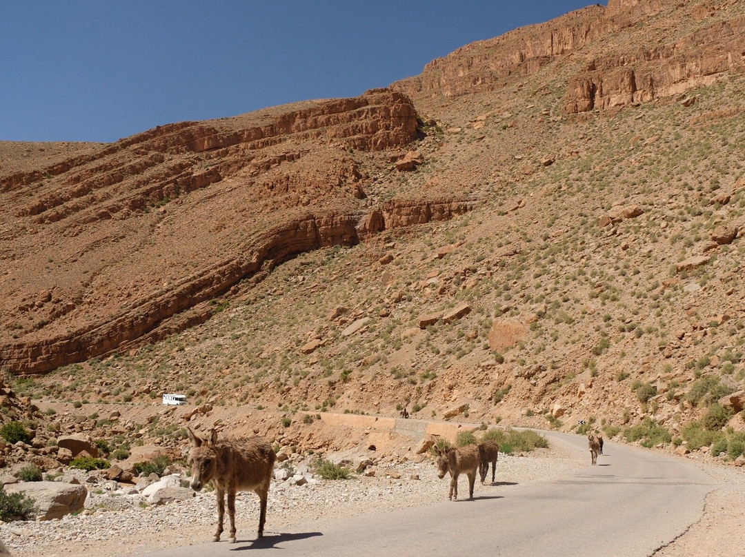 图德拉峡谷欢乐节日酒店