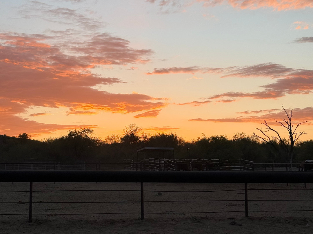 Kay El Bar Guest Ranch-Wickenburg必去景点