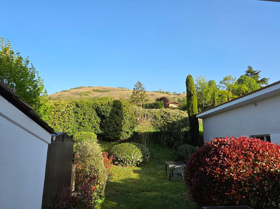 迪斯瑞德酒店主图