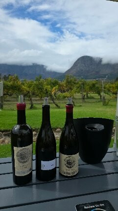 Holden Manz Wine Estate-法兰舒克必去景点