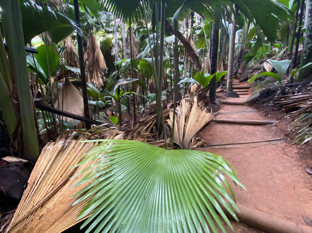 玛依谷地自然保护区-安斯艾尔伯特必去景点