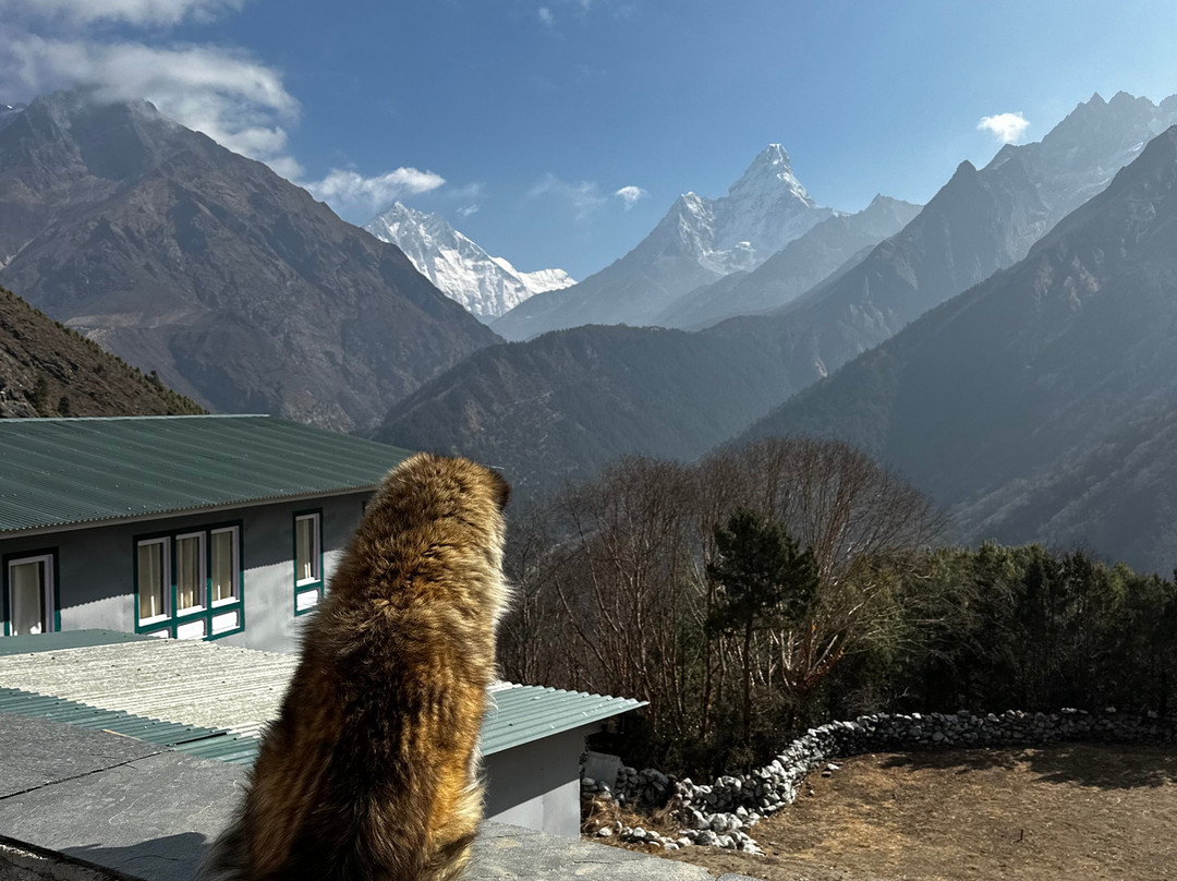 Naturestride Mountain Adventure-加德满都必去景点