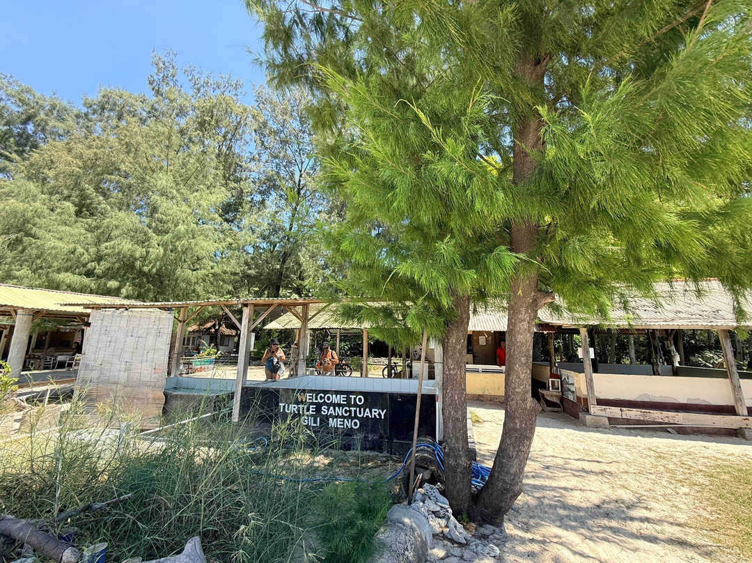 Gili Meno Turtle Sanctuary-Gili Meno必去景点