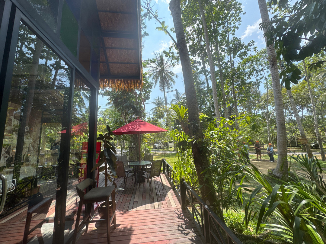 Samui Zipline & Adventures-利巴诺伊必去景点