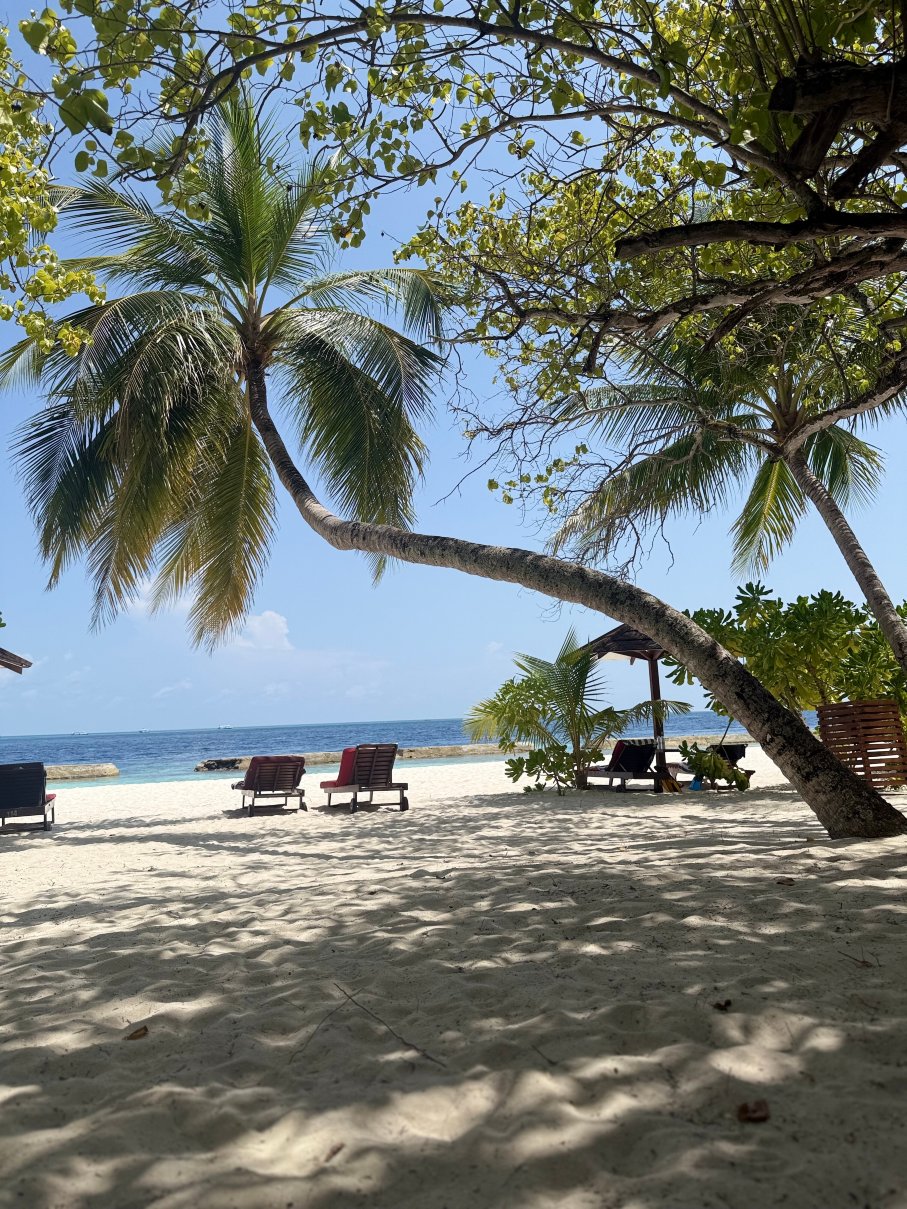 马尔代夫Ellaidhoo Cinnamon酒店-泳池