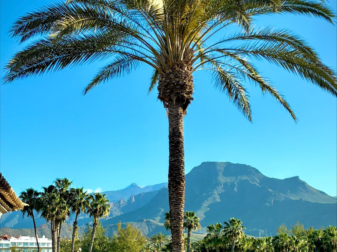 马里兰扎水疗套房酒店主图