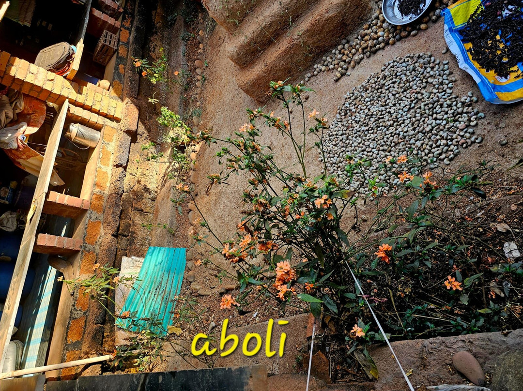 Tanshikar's Working Organic Spice Farm-Sanguem必去景点