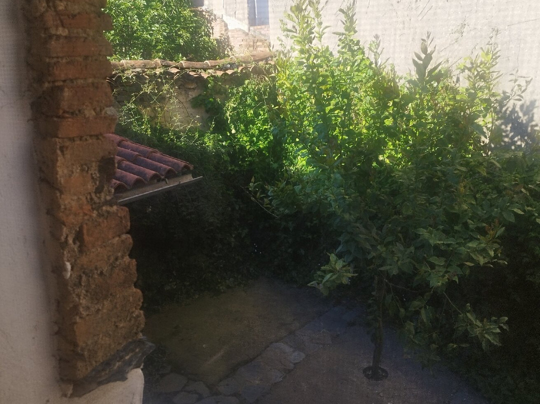 蒙弗拉圭林孔乡村民宿主图