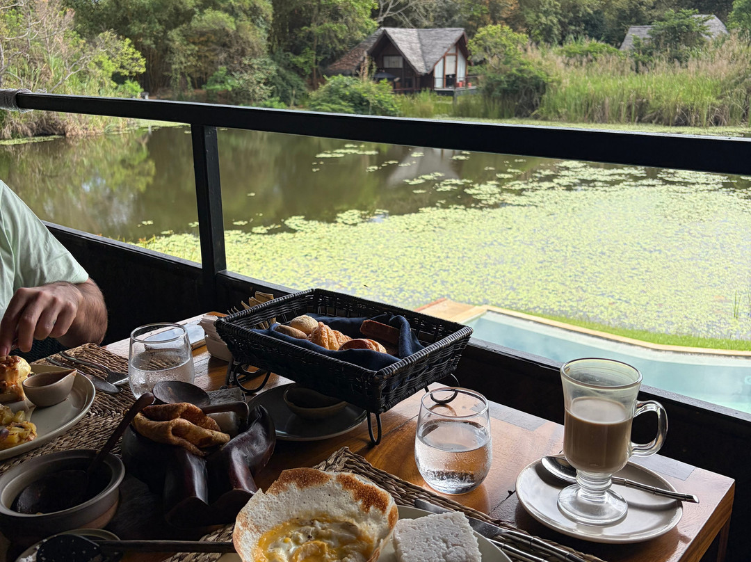 杰特威水田奢居主图