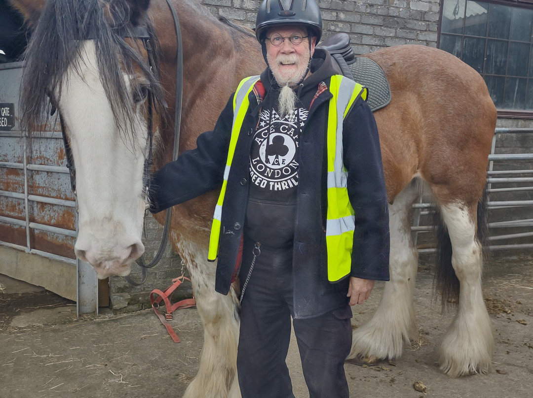Blackstone Clydesdales Experience-Cumnock必去景点