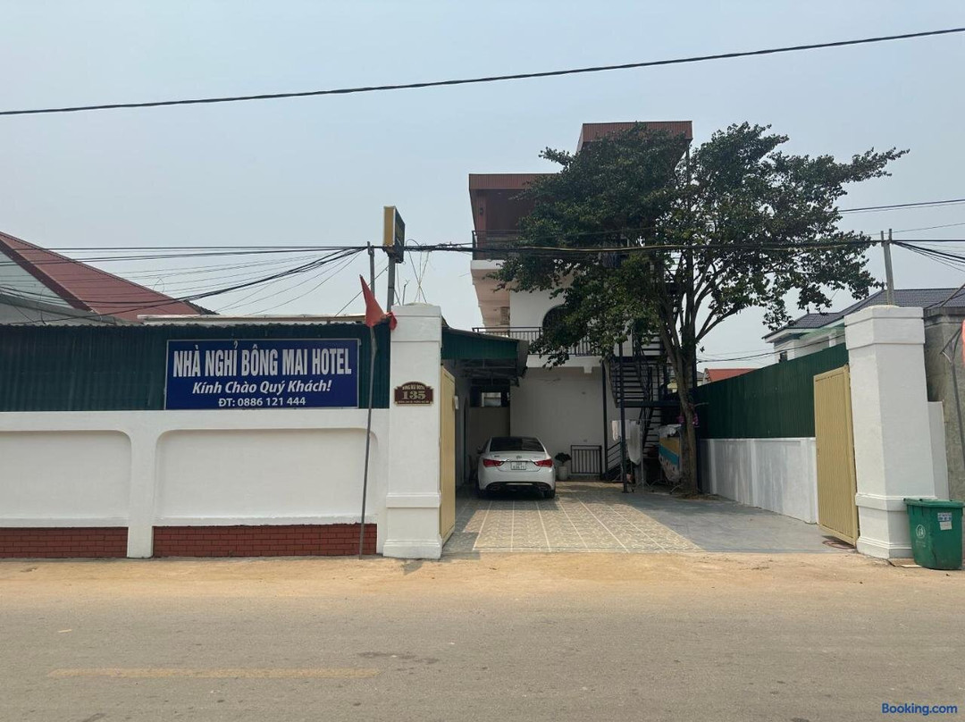 Bong Mai