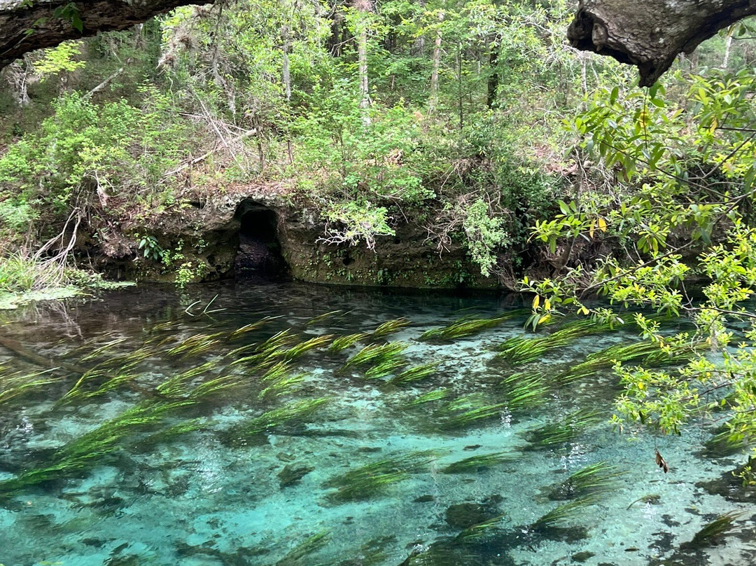 Ichetucknee Springs State Park-Fort White必去景点