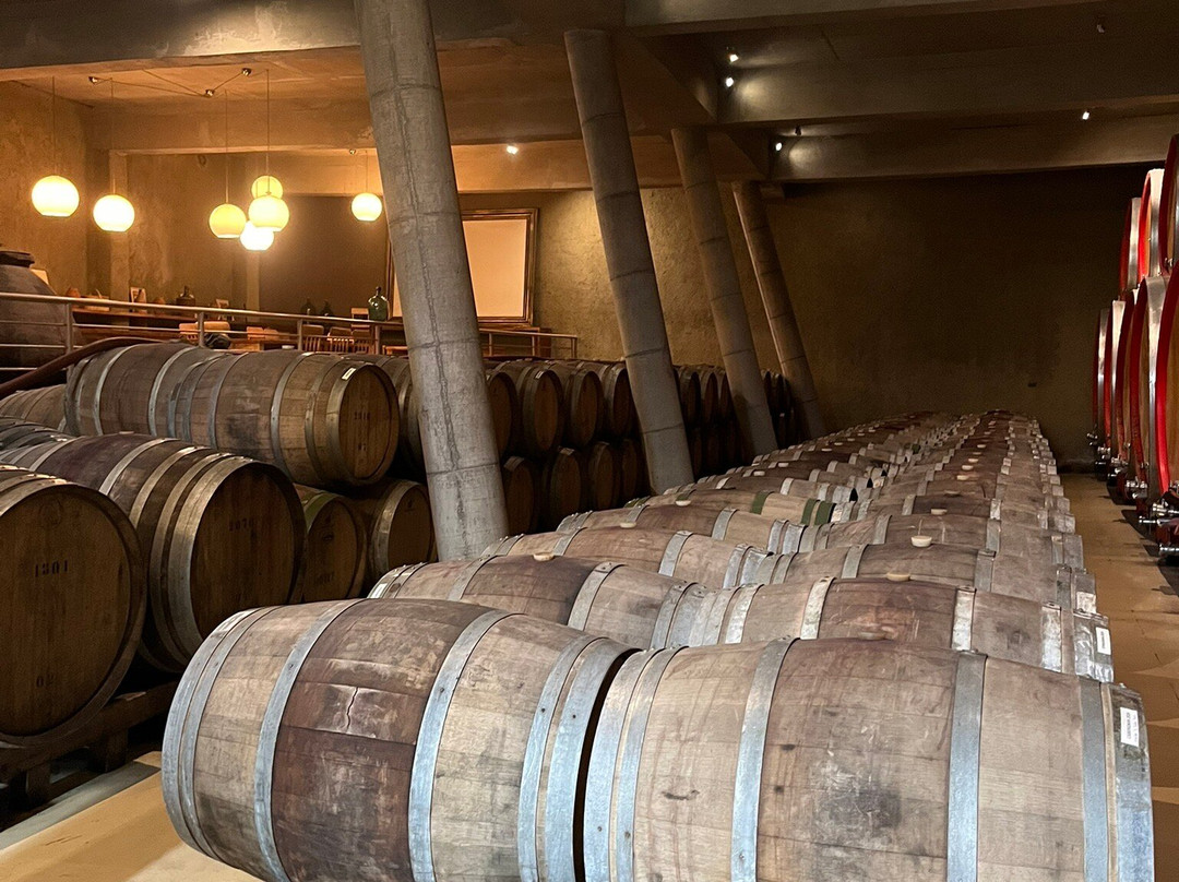 Bodegas RE-卡萨布兰卡必去景点